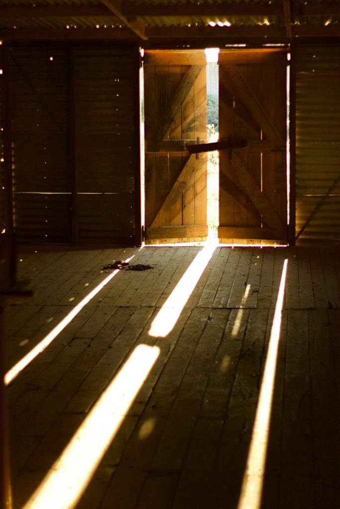 Sunlight pouring through the open doors of a building, representing getting past the entry-level job experience barrier into a new role.