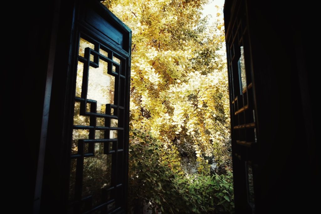 An open doorway looking out onto golden autumn trees, a metaphor for the opportunity that opens up when changing jobs for a raise.